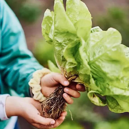 Epicos House, Your Away From Home.