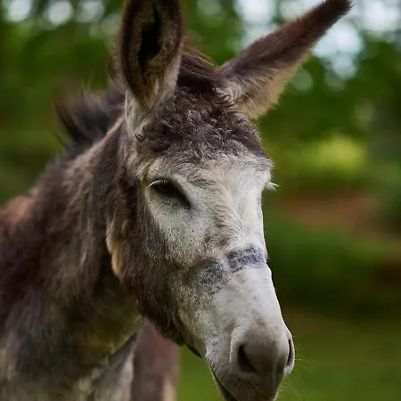 بيت للعطل Epicos House, Your Away From Home. *