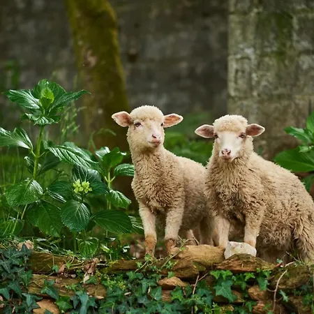 Epicos Farm, Your Away From * Nogueira (Viana do Castelo)