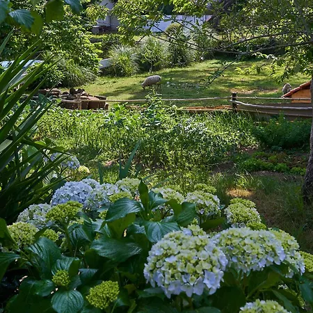 Feriehus Epicos Farm Houses Pool & Donkeys Nogueira (Viana do Castelo)
