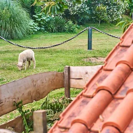 Epicos Farm Houses Pool & Donkeys *