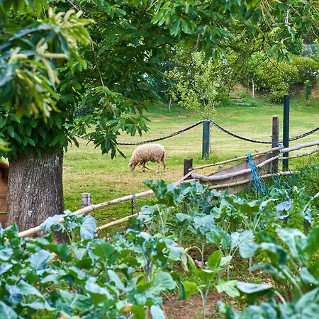 Epicos Farm Houses Pool & Donkeys Nogueira (Viana do Castelo)