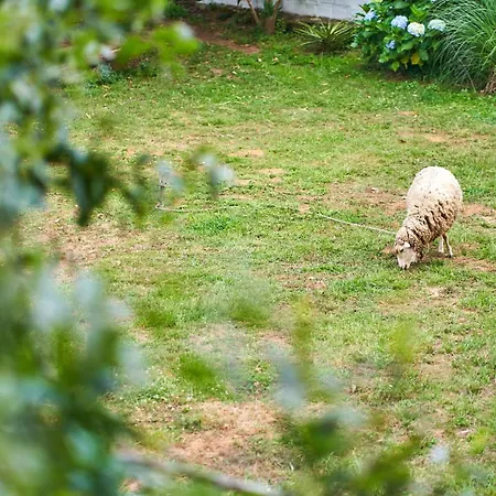 Epicos Farm Houses Pool & Donkeys * Nogueira (Viana do Castelo)