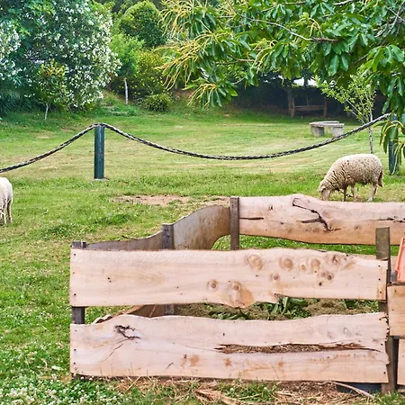 Epicos Farm Houses Pool & Donkeys Feriehus