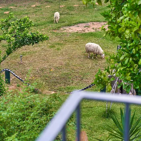 Epicos Farm Houses Pool & Donkeys