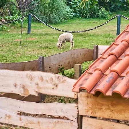 Feriehus Epicos Farm Houses Pool & Donkeys