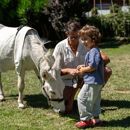 Casa de Férias Epicos Farm With Pool & Donkeys *