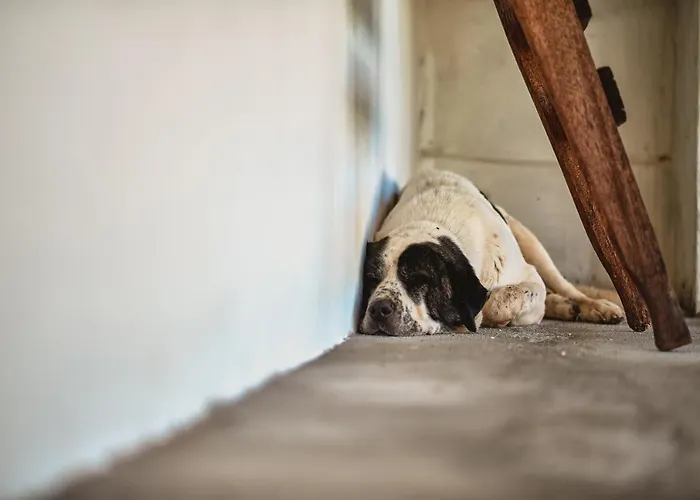 épicos House, Your Away From Home. Hébergement de vacances