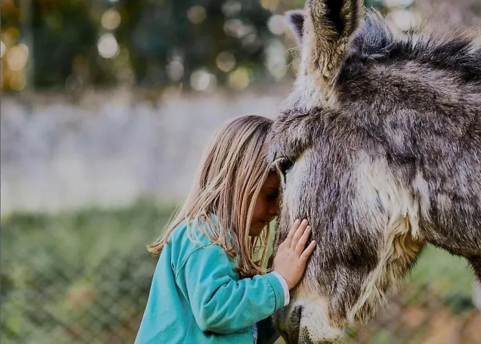 Hébergement de vacances épicos House, Your Away From Home. Nogueira (Viana do Castelo)